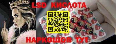 spice Моздок