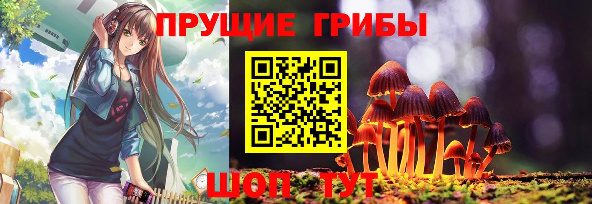 Галлюциногенные грибы прущие грибы Ачхой-Мартан